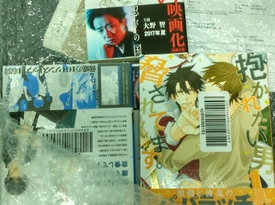 BL漫畫+忍者之國(guó)小說(shuō)+大麥若葉5盒+fino發(fā)膜3盒