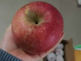 甜甜的丑蘋果