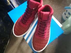 小仙女的紅鞋之二-----adidas阿迪達斯 Splendid Mid-CutShoes 大童款運動鞋