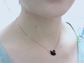 只愿與你永相隨——黑天鵝曬單
