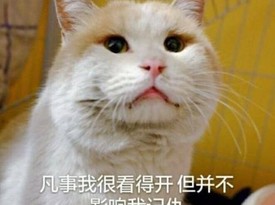 【保健品系列】絕對不會在回購的綠茶膠囊——Holland&Barrett  綠茶膠囊測評