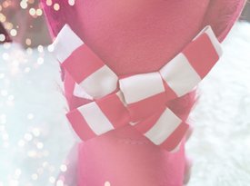 UGG 圣誕版雪地靴