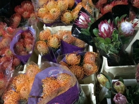 進(jìn)口花