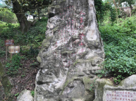慢慢人生路等我一步步攀爬