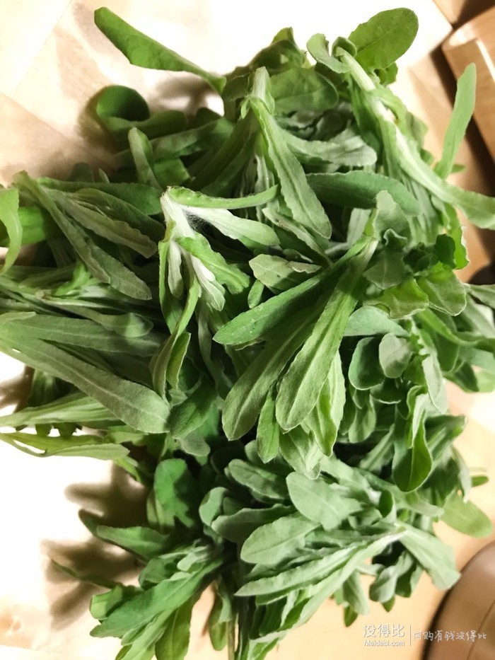 清明节前后吃的野菜图片