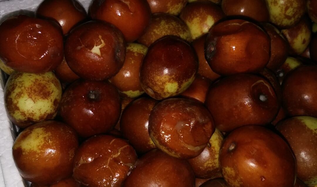 真的是no zuo no die啊,京东买的冬枣中招了!_没得比